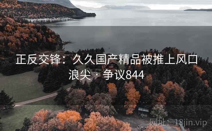 正反交锋：久久国产精品被推上风口浪尖 · 争议844